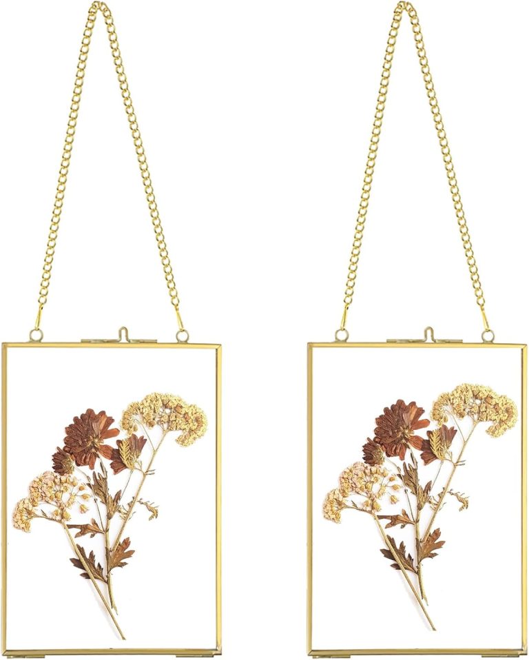 JUXYES Set of 2 Gold Brass Floating Picture Frames – 4x6 Double Glass Wall Hanging Display for Pressed Flowers, Photos, Artwork, Posters & Botanical Décor