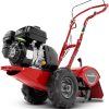 Earthquake 33970 Victory Rear Tine Tiller, Powerful 212cc 4 - Cycle Viper Engine - Decindoor