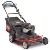Toro TimeMaster 30 inch 223cc Personal Pace Mower, Electric Start - Decindoor